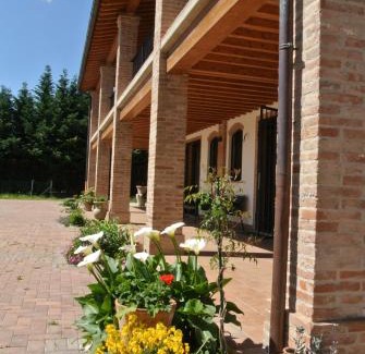 Imola House | Il Ghiandolino