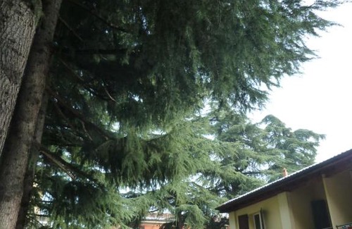 Borgo Panigale Apartment | IL GIARDINETTO - Smart working - Airport - Private Parking - Private garden - Ducati - Philip Morris