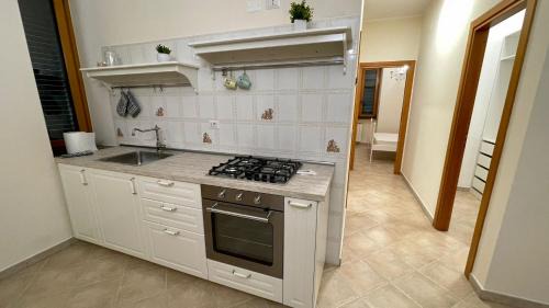 Marina di Pisciotta Apartment | Il Giardino degli aranci