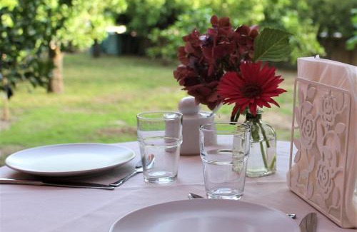 Modolo Bed & Breakfast | Il giardino degli aranci