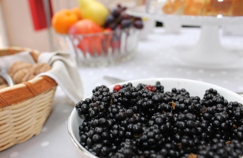 Modolo Bed & Breakfast | Il giardino degli aranci