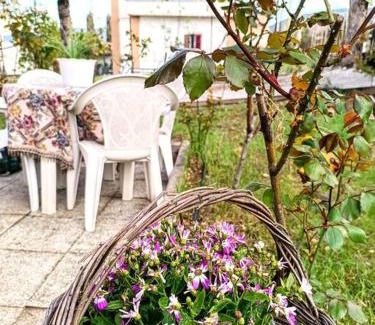 Avezzano House | Il giardino delle rose