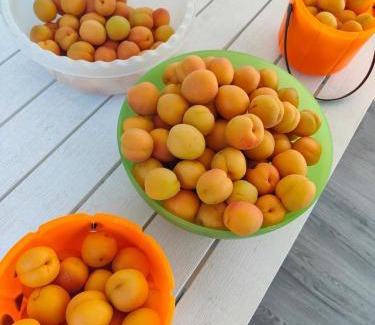 Taranto House | Il giardino di Alessandra