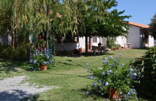 Paciano House | Il Granaio Grande