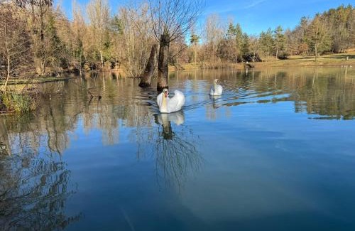 Chiusi della Verna Other | Il Lago dei Cigni - Glamping & Restaurant