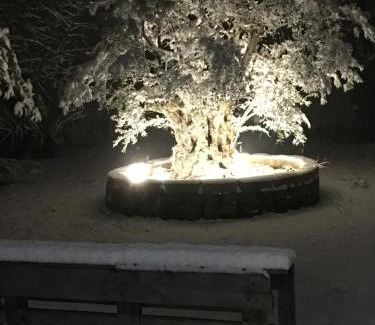 Borgatella Bed & Breakfast | il leccio