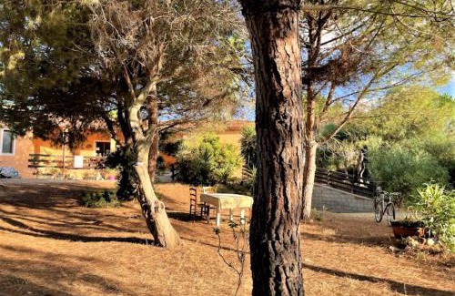 San Vero Milis House | Il Lentischio del Sinis