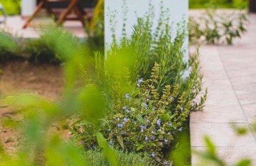 Castroreale Terme Bed & Breakfast | Il Limoneto Rooms
