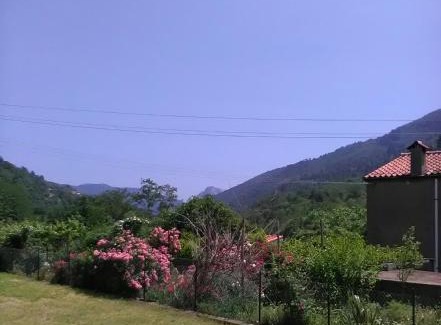 Rialto Bed & Breakfast | Il Martello