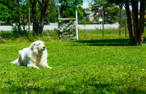 Cantarana Bed & Breakfast | Il Martinetto Bed & Breakfast