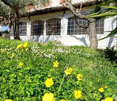 Torino di Sangro House | Il Melograno