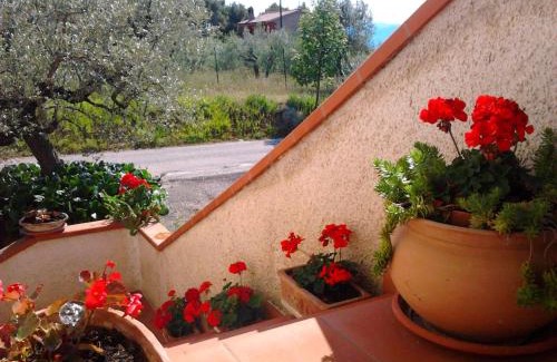 Canalicchio Apartment | Il Mulinetto