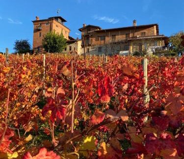 Clavesana House | Il Palazzetto