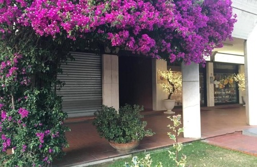 Marina di Massa House | Il Parco Apartments - Ground Floor