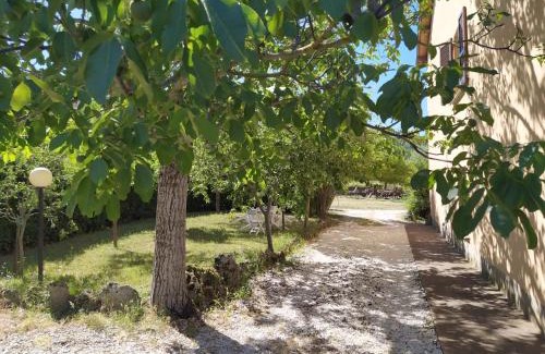 Nocera Umbra Apartment | il passero
