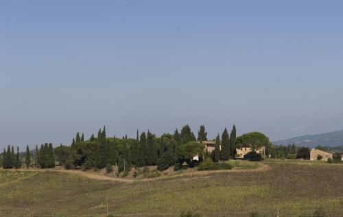 Scandicci Bed & Breakfast | Il Poggio B&B
