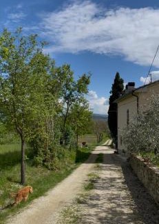 Motina Apartment | Il Poggiolo