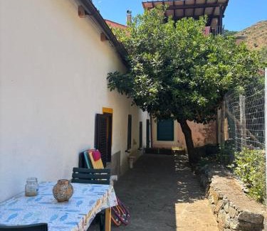 Rio nell'Elba House | Il polpo blu