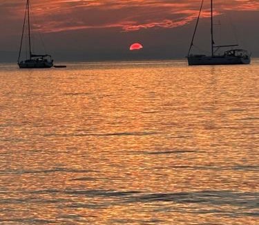 Rio nell'Elba House | Il polpo blu