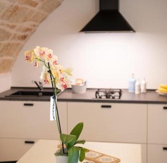Mola di Bari Apartment | Il Riparo Via Molino 5