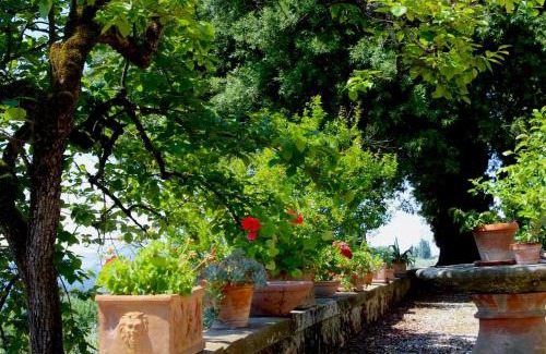 San Casciano in Val di Pesa Apartment | Il Salotto di Berentano