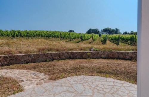 Aglientu House | Il Sughereto In Vigna