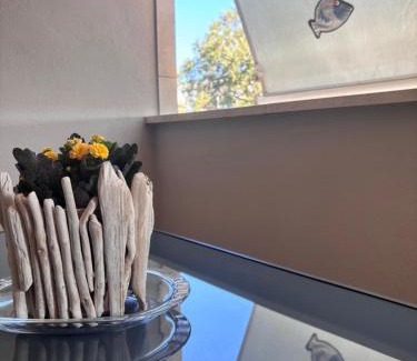 Sabaudia Apartment | Il Verde e l'Azzurro