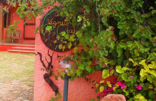 Gonnesa Bed & Breakfast | Il Vigneto B&B