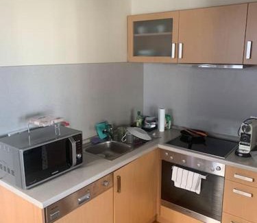 Vizafogo Apartment | Imádnivaló medencés hotellakás szaunával.