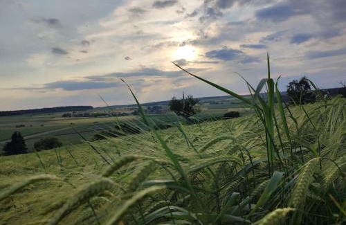 Nastatten Apartment | Im großen K