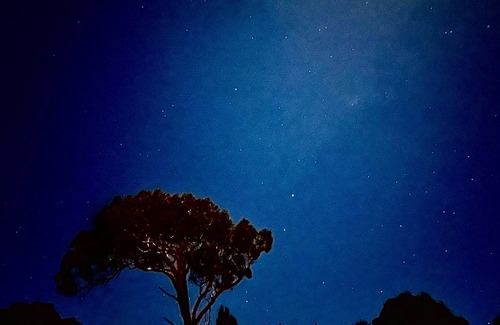 Carwoola Other | Impression, Sunrise & Starry Night - Nature's Way