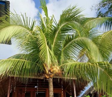 Mansuar Island House | Imuri Homestay Sauwandarek