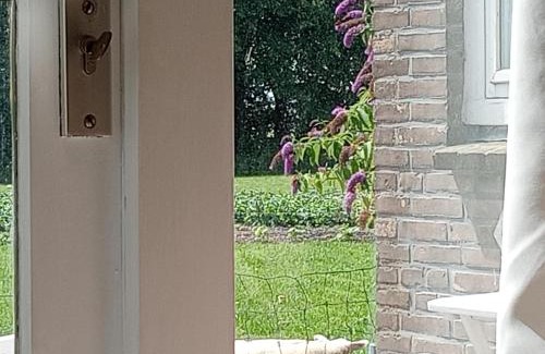 Hantum House | In het mooie Friesland Vele bezienswaardigheden