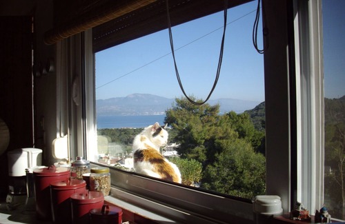Katakali House | In the center of Ancient Greece and Saronic sea