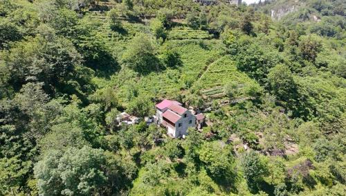 Khelvachauri House | In the Forest