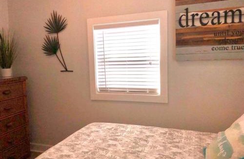 Downtown Dunedin Apartment | In the Heart of Downtown Dunedin One Bedroom Apt NO KIDS, NO PETS