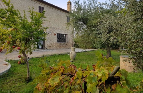 Spinetoli Villa | In the Piceno countryside: Class and Hospitality