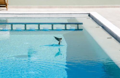 Kamisiana Apartment | Incognito Creta Luxury Suites and More