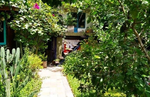 Tigre Apartment | Increíble Nido en la Naturaleza, Eden