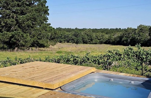 Smithville House | Incredible Luxurious Dome for a Relaxing Getaway in Smithville, Texas