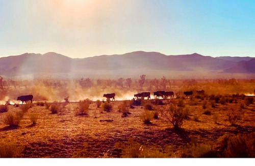Meadview RV Rental | Incredible Mountain Views, Wide Open Spaces in Wild West!
