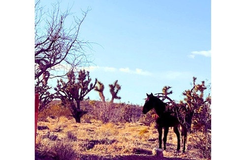 Meadview RV Rental | Incredible Mountain Views, Wide Open Spaces in Wild West!