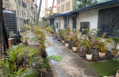 Bandra West Apartment | Independent Studio 25 Corner House Bandra west