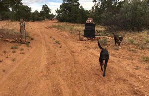 Monticello Other | Indian Canyon Ranch