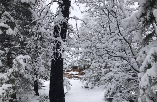 Fern Valley Cabin | Indian Heaven Treehouse-Nightly Shooting Stars, Miles of Balconies & Rock Views