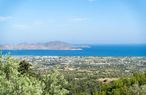 Zipari Apartment | Infinity V - Spacious Family Apartment in Kos