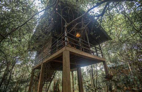 Kimbissa House | Inn On The Tree Eco Resort Sigiriya