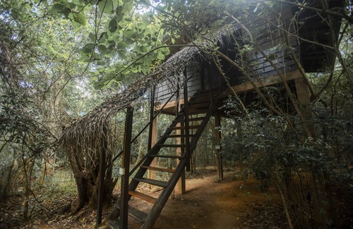 Kimbissa House | Inn On The Tree Eco Resort Sigiriya