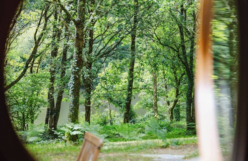 Bieuzy Cabin | Insolite - Cabane Elouan Vitrée Face à la Rivière