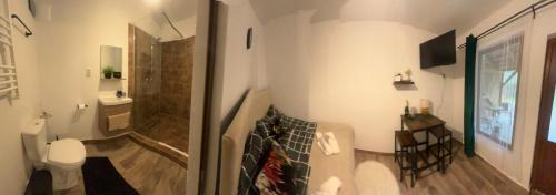 Lunca de Jos Apartment | Insomnia Apartments
